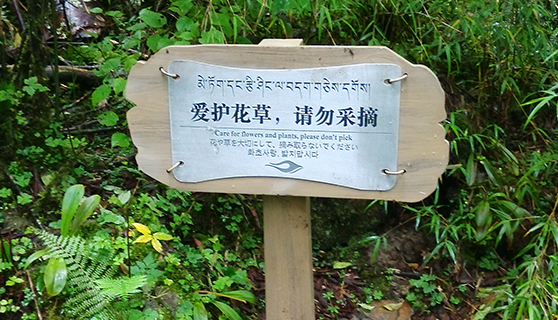 成都標(biāo)識標(biāo)牌