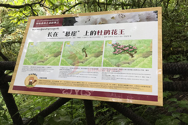 園林標(biāo)識(shí)